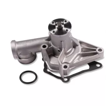 Pompe à eau HEPU P7704