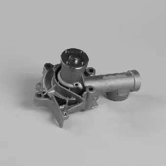 Pompe à eau HEPU P7705