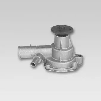 Pompe à eau HEPU P771