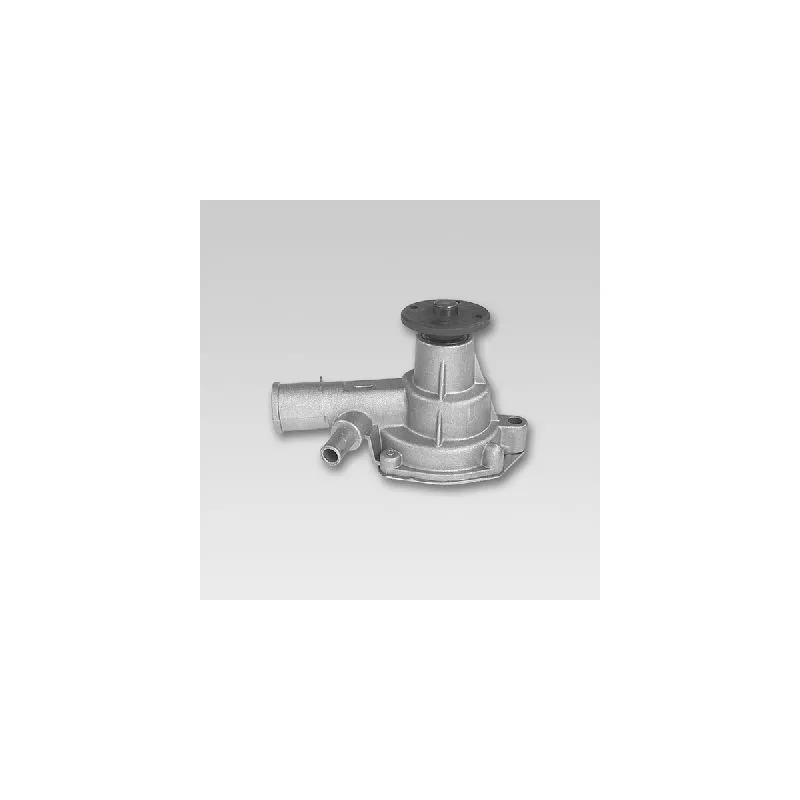 Pompe à eau HEPU P771