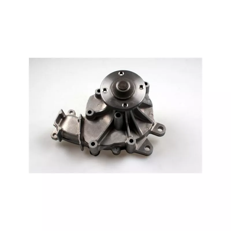 Pompe à eau HEPU P7711