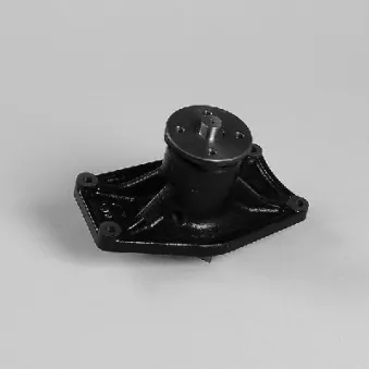 Pompe à eau HEPU P7717