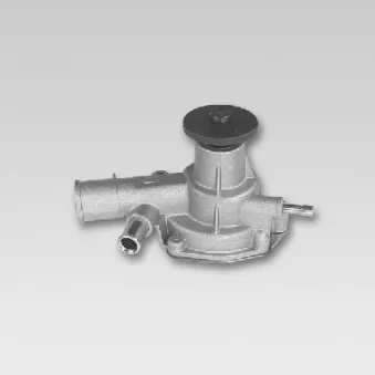 Pompe à eau HEPU P772