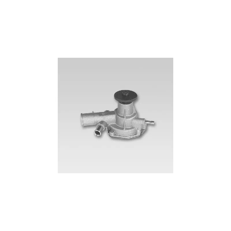 Pompe à eau HEPU P772