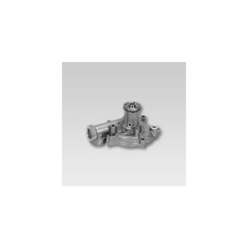 Pompe à eau HEPU P7723