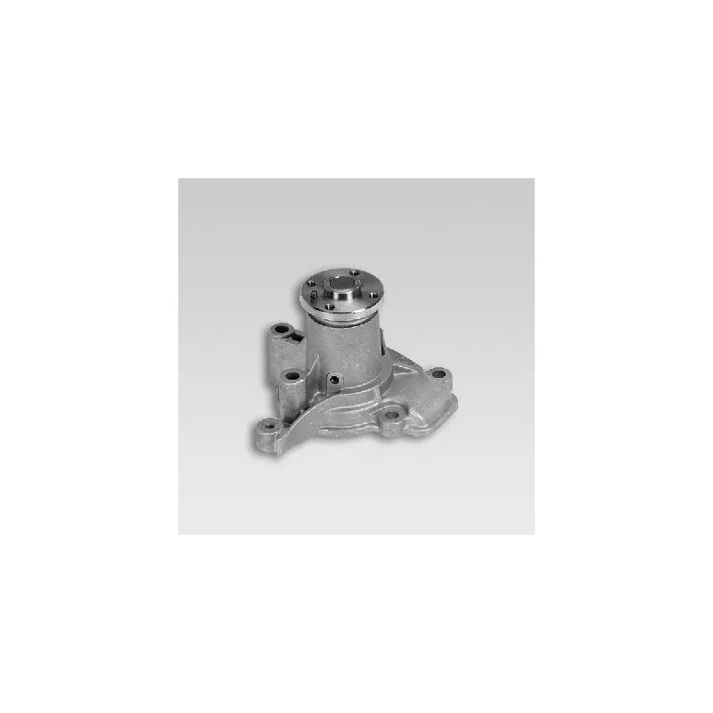 Pompe à eau HEPU P7726