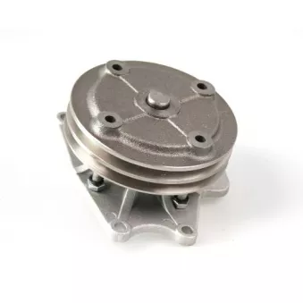 Pompe à eau HEPU P7727