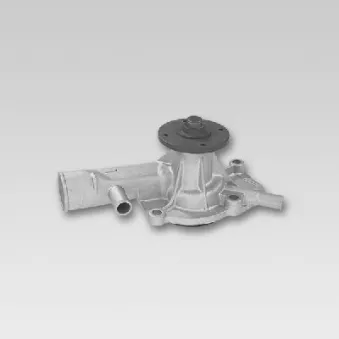 Pompe à eau HEPU P773