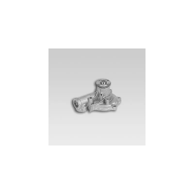 Pompe à eau HEPU P7731