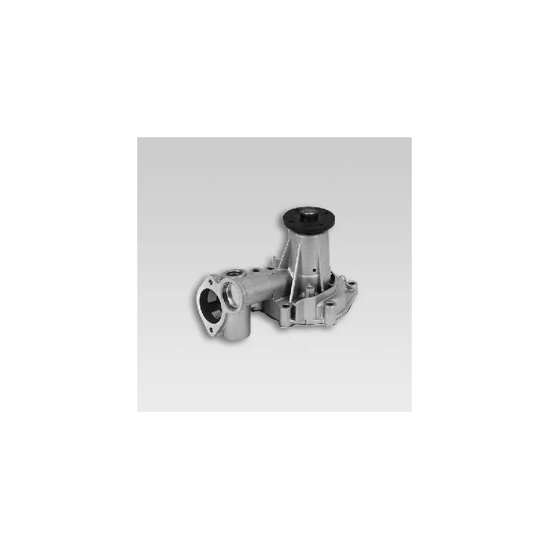 Pompe à eau HEPU P7732