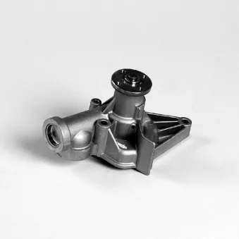 Pompe à eau HEPU P7737