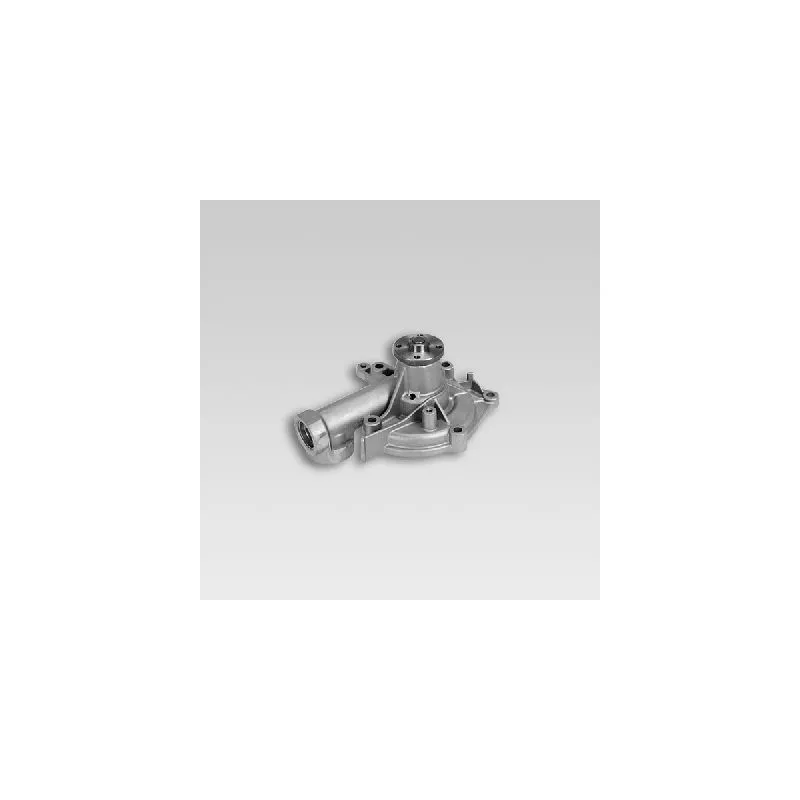 Pompe à eau HEPU P7739