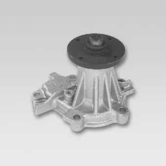 Pompe à eau HEPU P774