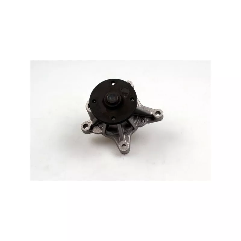 Pompe à eau HEPU P7744