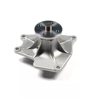 Pompe à eau HEPU P7746