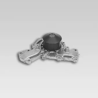 Pompe à eau HEPU P7748