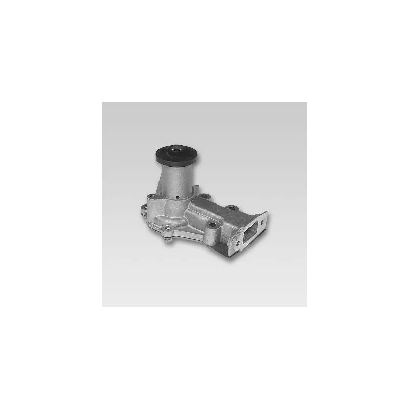 Pompe à eau HEPU P775