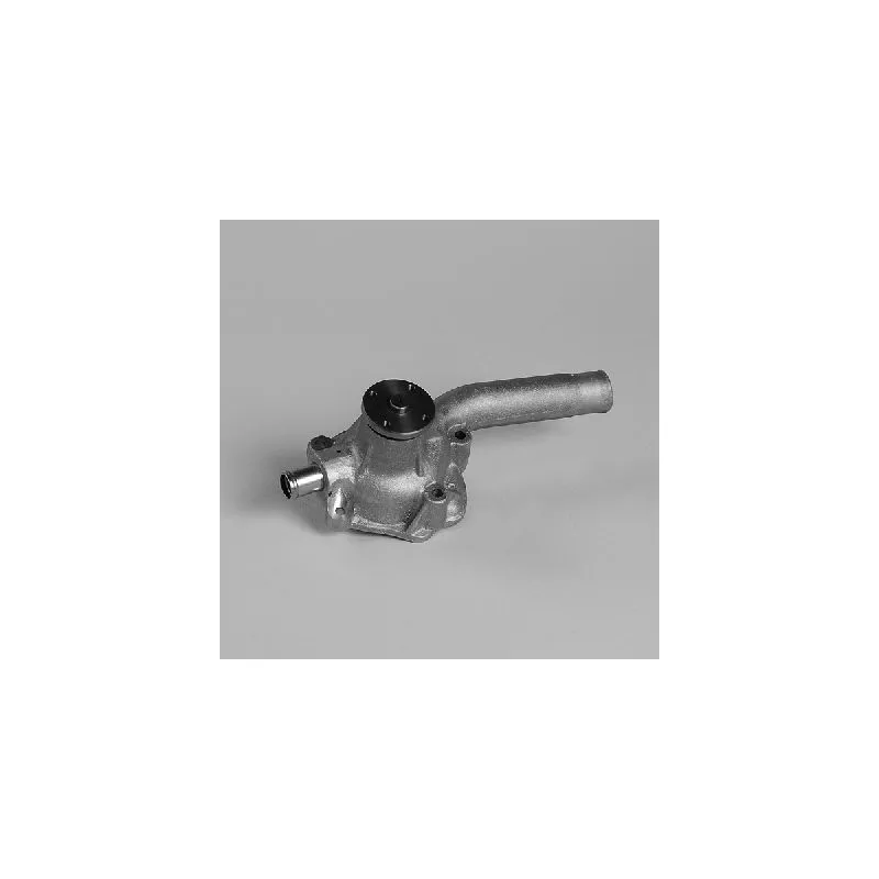 Pompe à eau HEPU P7756