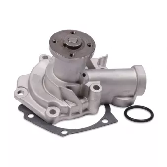 Pompe à eau HEPU P7765
