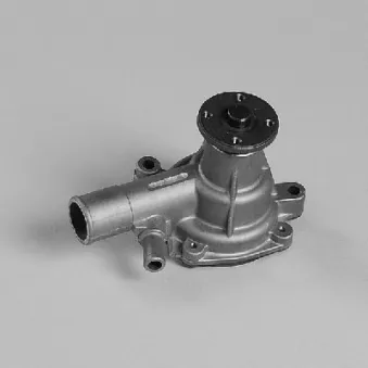 Pompe à eau HEPU P7771