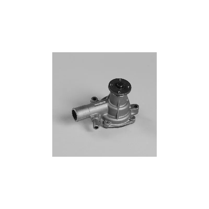 Pompe à eau HEPU P7771