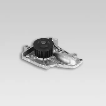 Pompe à eau HEPU P7773