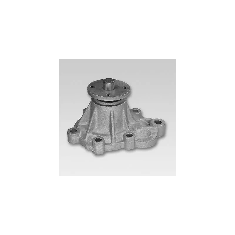 Pompe à eau HEPU P7774