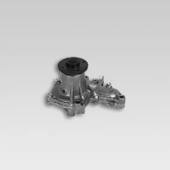 Pompe à eau HEPU P7776