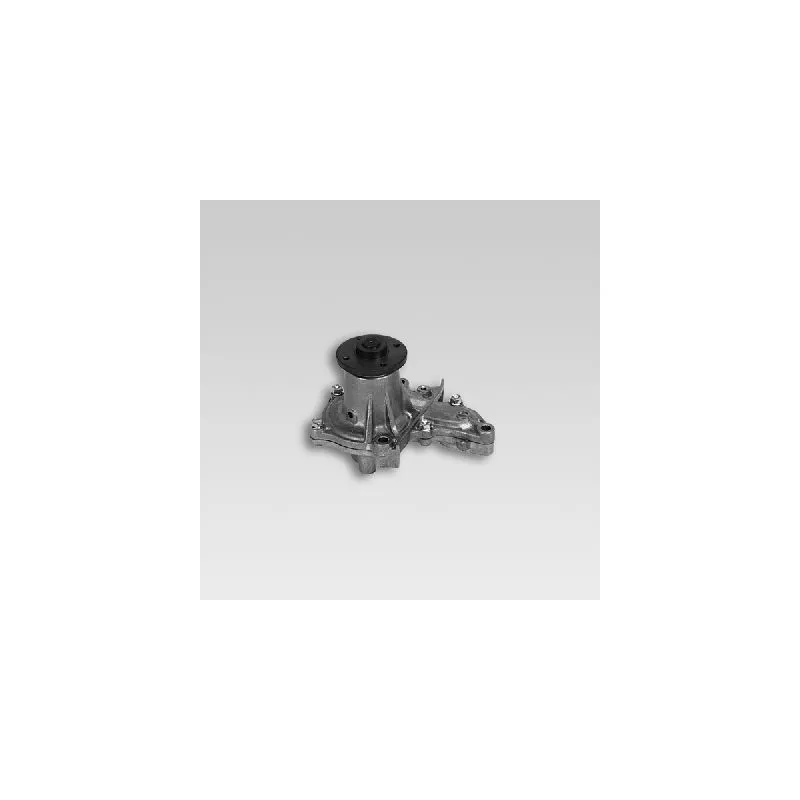Pompe à eau HEPU P7776