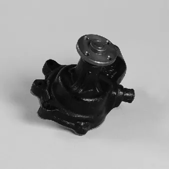 Pompe à eau HEPU P7783