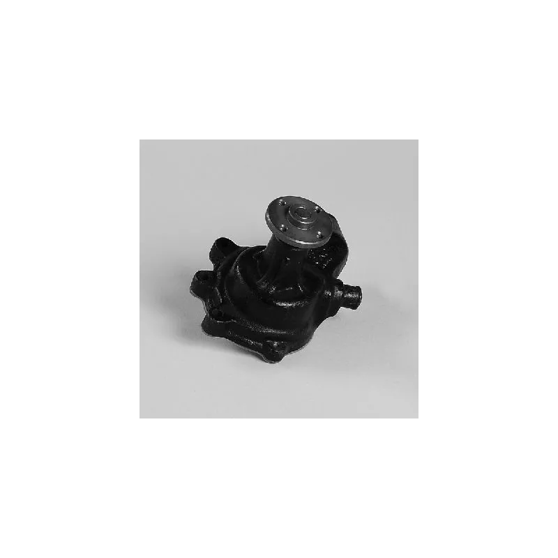 Pompe à eau HEPU P7783