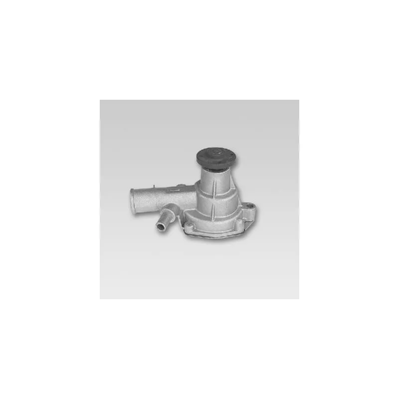 Pompe à eau HEPU P7784