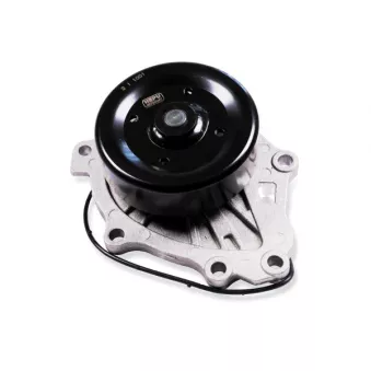 Pompe à eau HEPU P7789