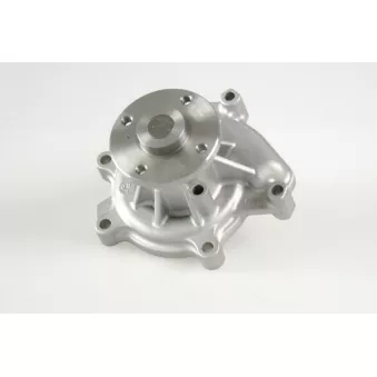 Pompe à eau HEPU P7793