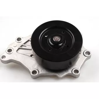 Pompe à eau HEPU P7799