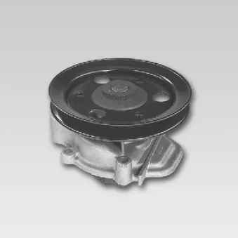 Pompe à eau HEPU P7801