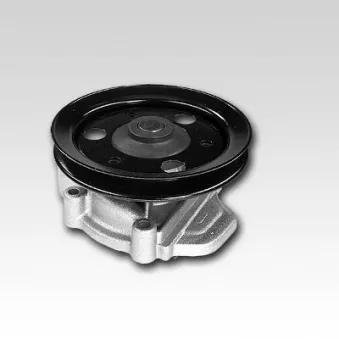 Pompe à eau HEPU P7805