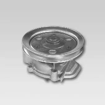 Pompe à eau HEPU P7808