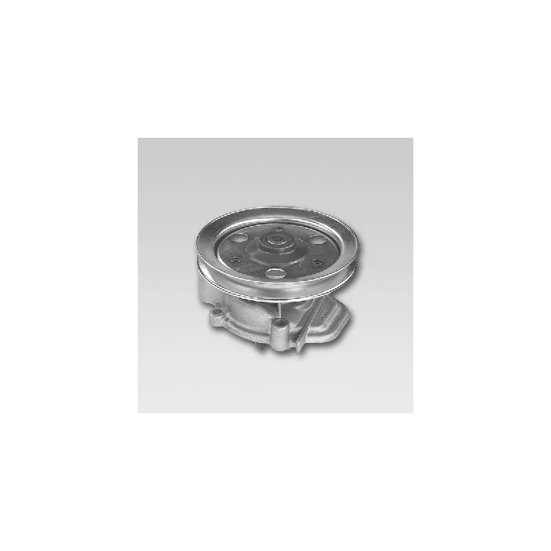 Pompe à eau HEPU P7808