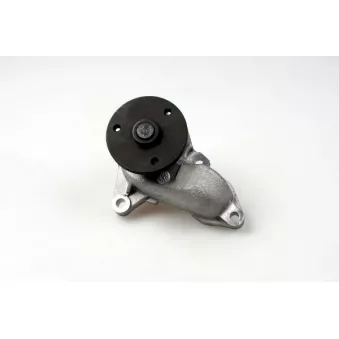 Pompe à eau HEPU P7809