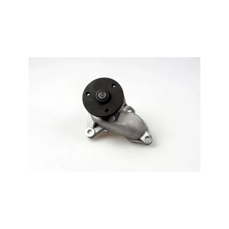 Pompe à eau HEPU P7809