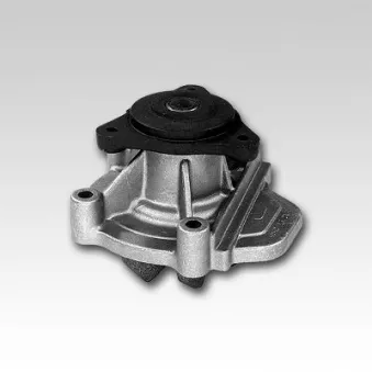Pompe à eau HEPU P781