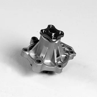 Pompe à eau HEPU P7811