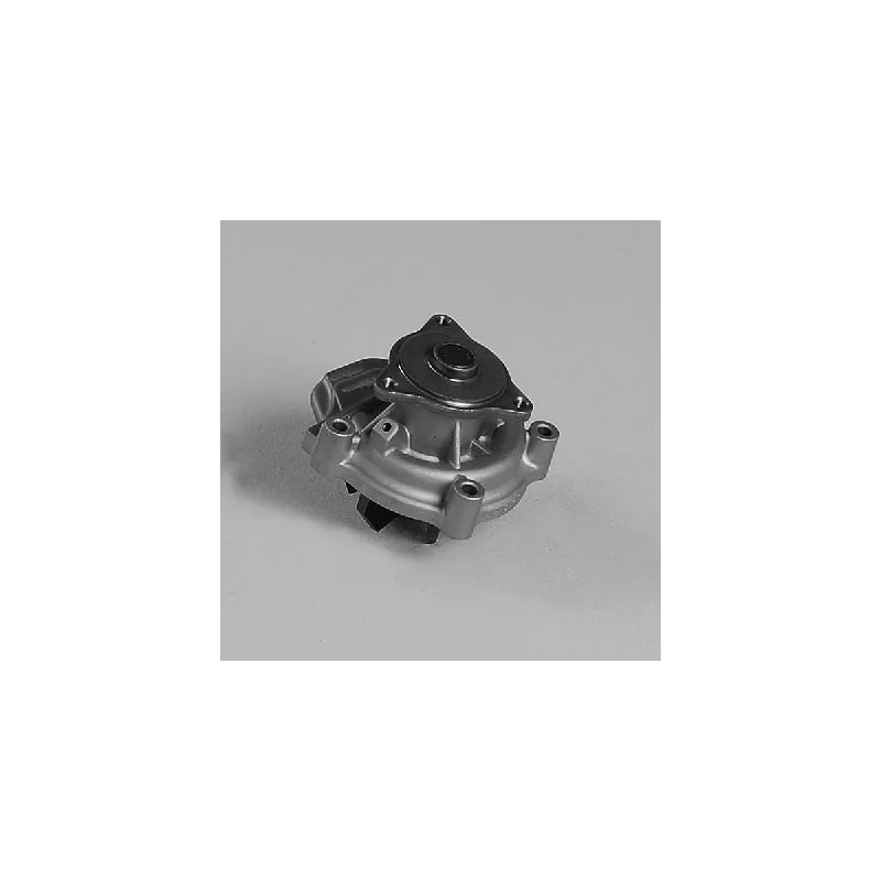Pompe à eau HEPU P7815