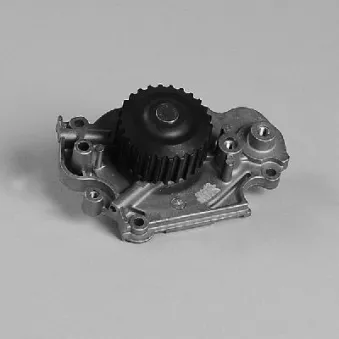 Pompe à eau HEPU P7816