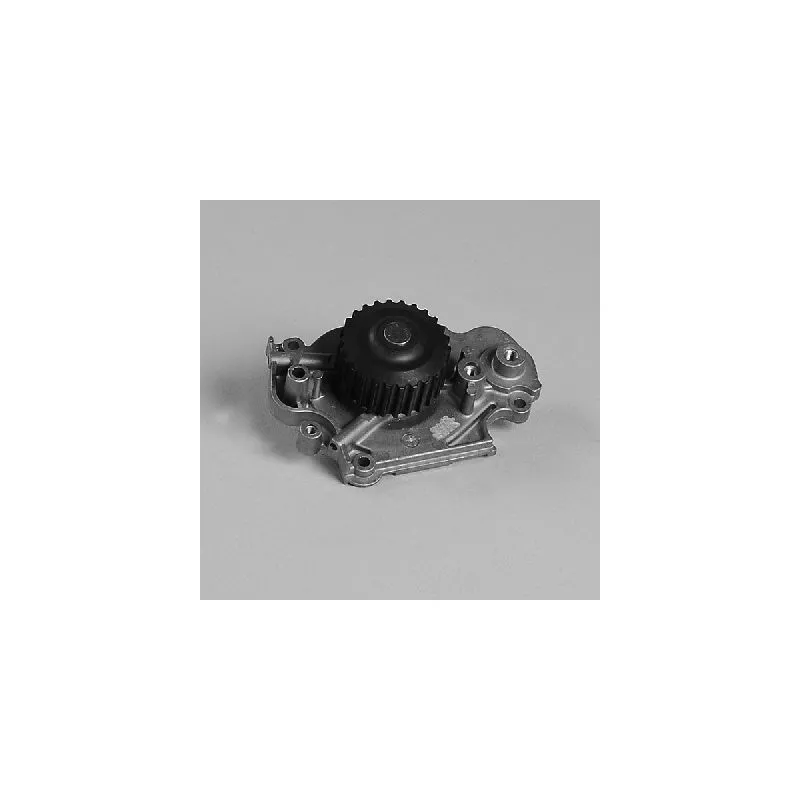 Pompe à eau HEPU P7816