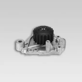 Pompe à eau HEPU P782