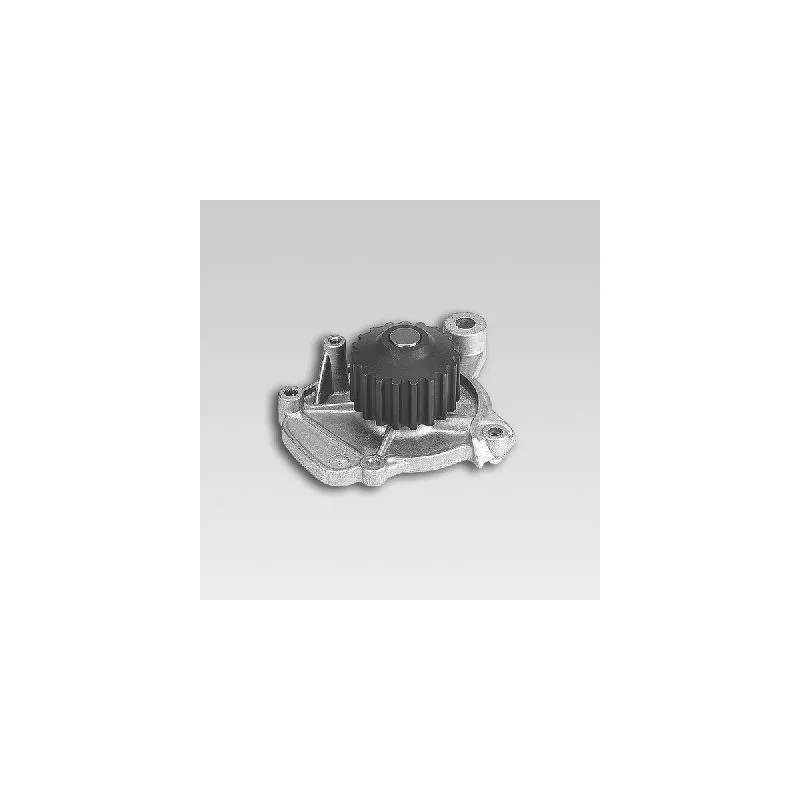 Pompe à eau HEPU P7822
