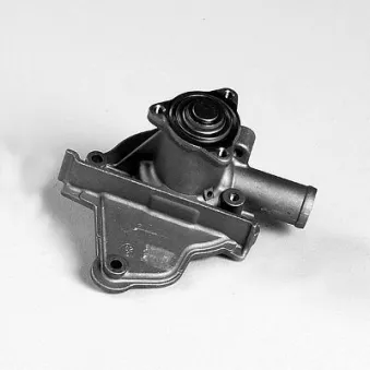 Pompe à eau HEPU P7826