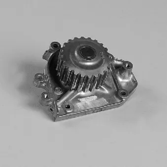Pompe à eau HEPU P7827